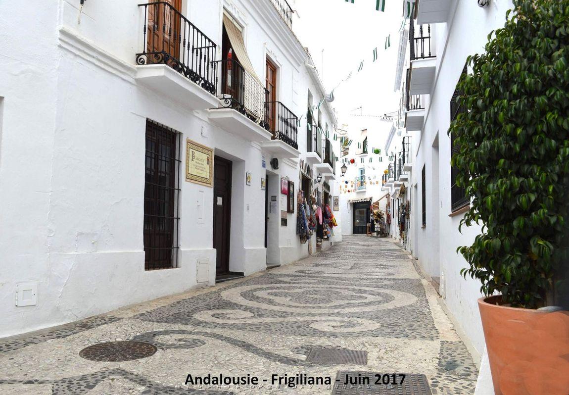 547 - Frigiliana.JPG